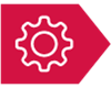 Red Gear Icon